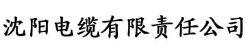 大黑香蕉综合网电缆厂logo